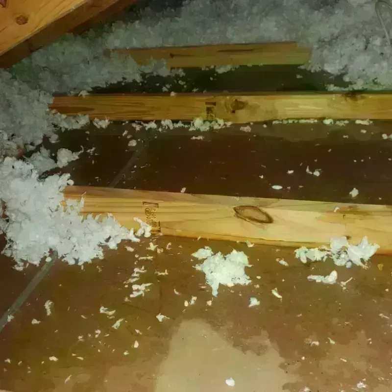 Attic Water Damage in Spring Green, WI