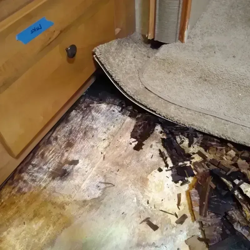 Wood Floor Water Damage in Spring Green, WI